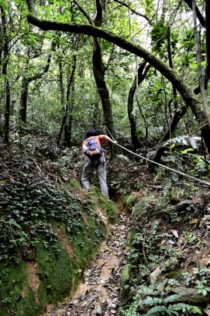 山水泠靈 清末最後一條官道 鹿堀坪古道 台灣千里步道協會
