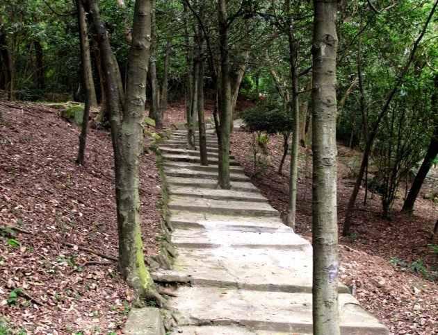 步道調查成果 - 2