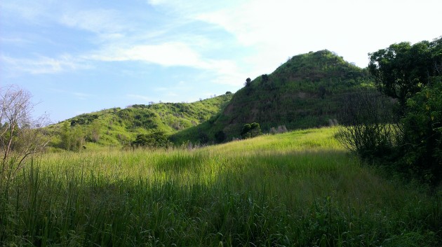 知高圳步道沿途風景